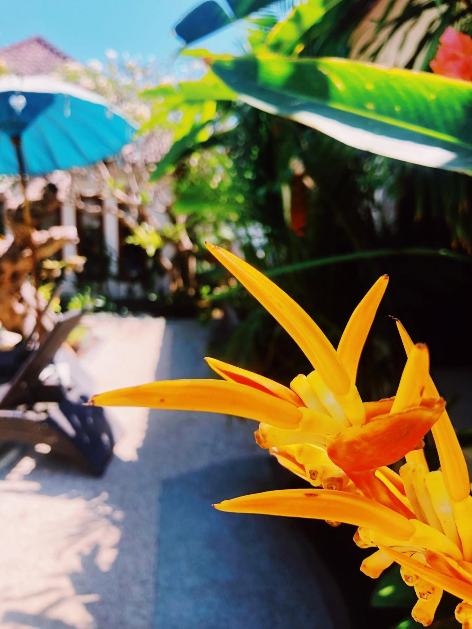 Kalua Boutique Bungalows Gili Trawangan Extérieur photo