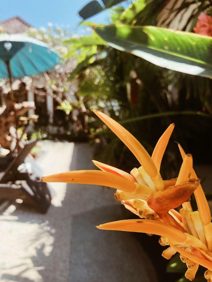 Kalua Boutique Bungalows Gili Trawangan Extérieur photo